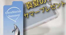 iphone5デザインパネル プレゼント アニマル柄・サマードルフィン